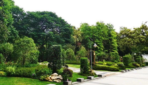 喜訊！人文園林榮獲2020年杭州市優秀園林綠化工程兩項金獎